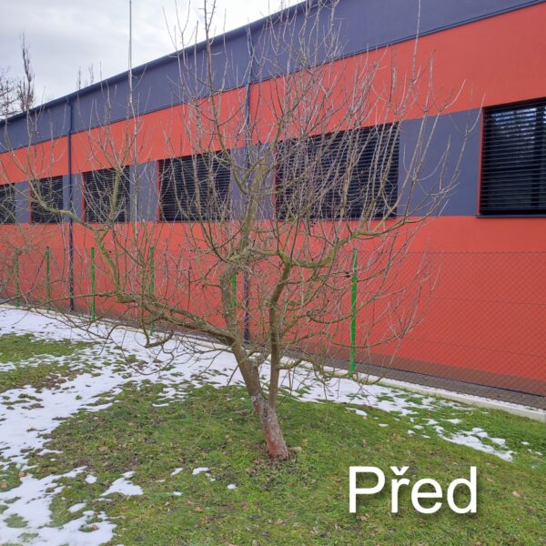 IMG_20260211_122349 upravený