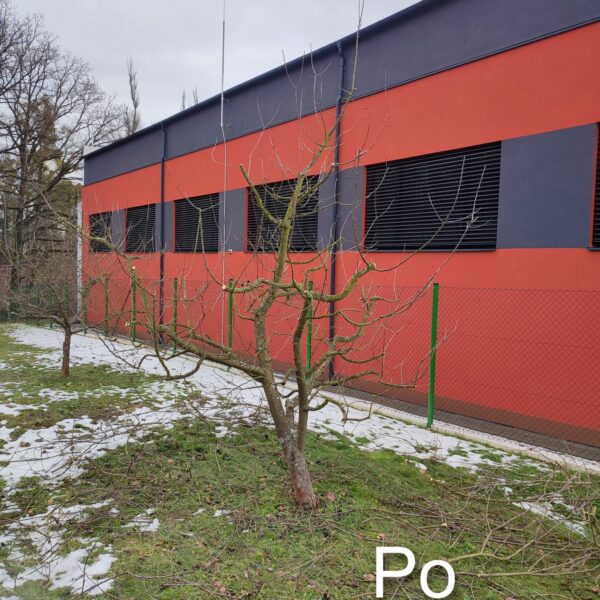 IMG_20260211_124323 upravený