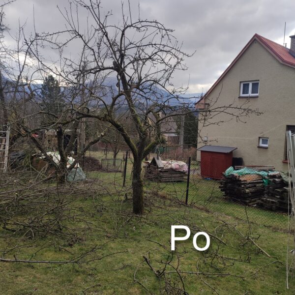 upravený